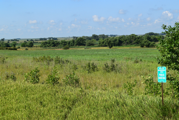 view looking southwest over upland marsh timber