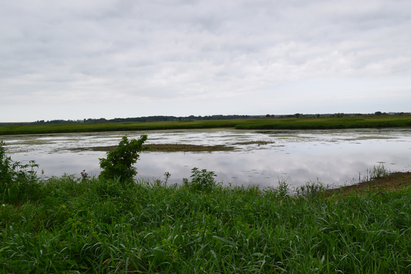 Big Marsh Wildlife Area