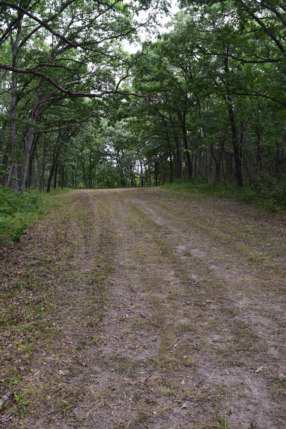 Fire lane through Mt Ayr Area