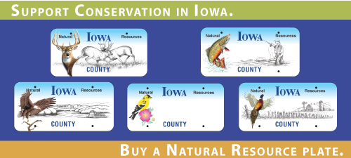 Natural Resources License Plates Options: eagle, pheasant, deer, goldfinch, trout