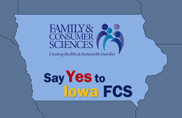 Iowa FCS image