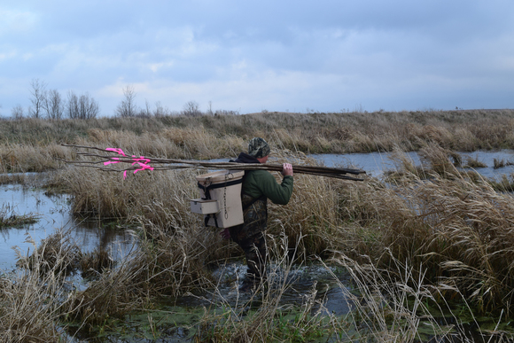 furbearer season opens Nov. 4