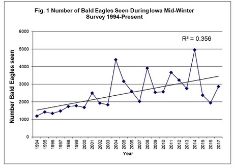Bald Eagle Midwinter Trend Chart