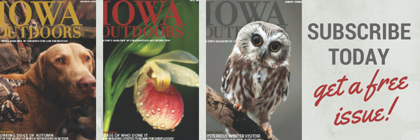 Iowa Outdoors magazine