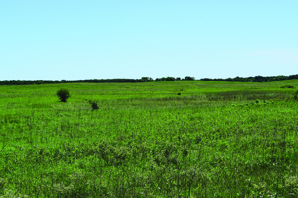 remnant prairie Kettleson Hogsback