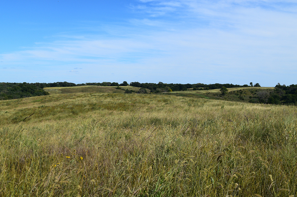 Heritage Hills Prairie