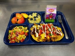 school lunch tray