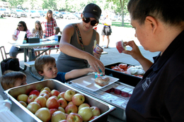 Young students receiving lunch during summer food program at a city park.