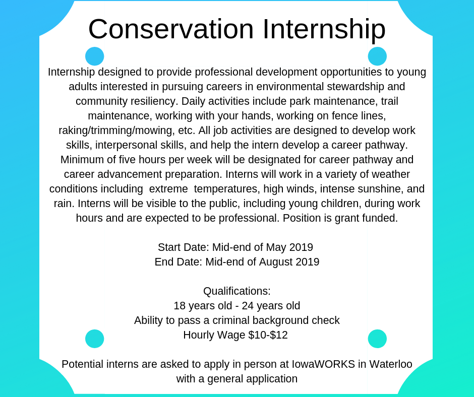 conservation internship