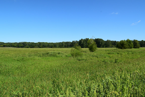 blackhawk bottoms duck food buffet