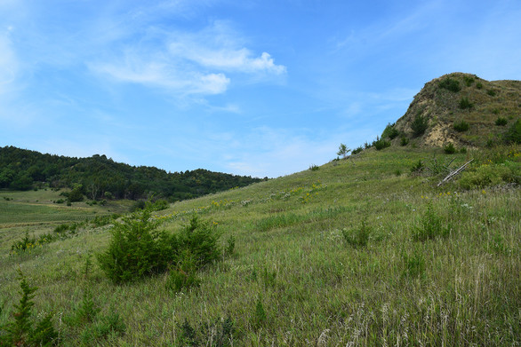 Hills at Turin Wildlife Area