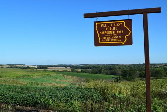 Willie Suchy Wildlife Area 