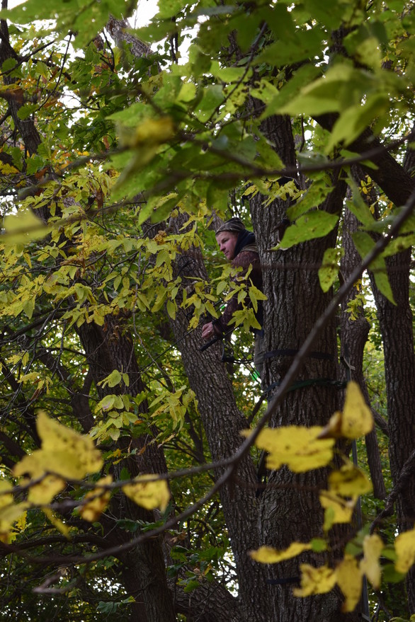 bowhunter in treestand