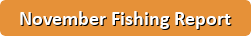 Button with a link to the November Fishing Report