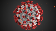 illustration of covid virus