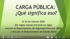 Carga publica