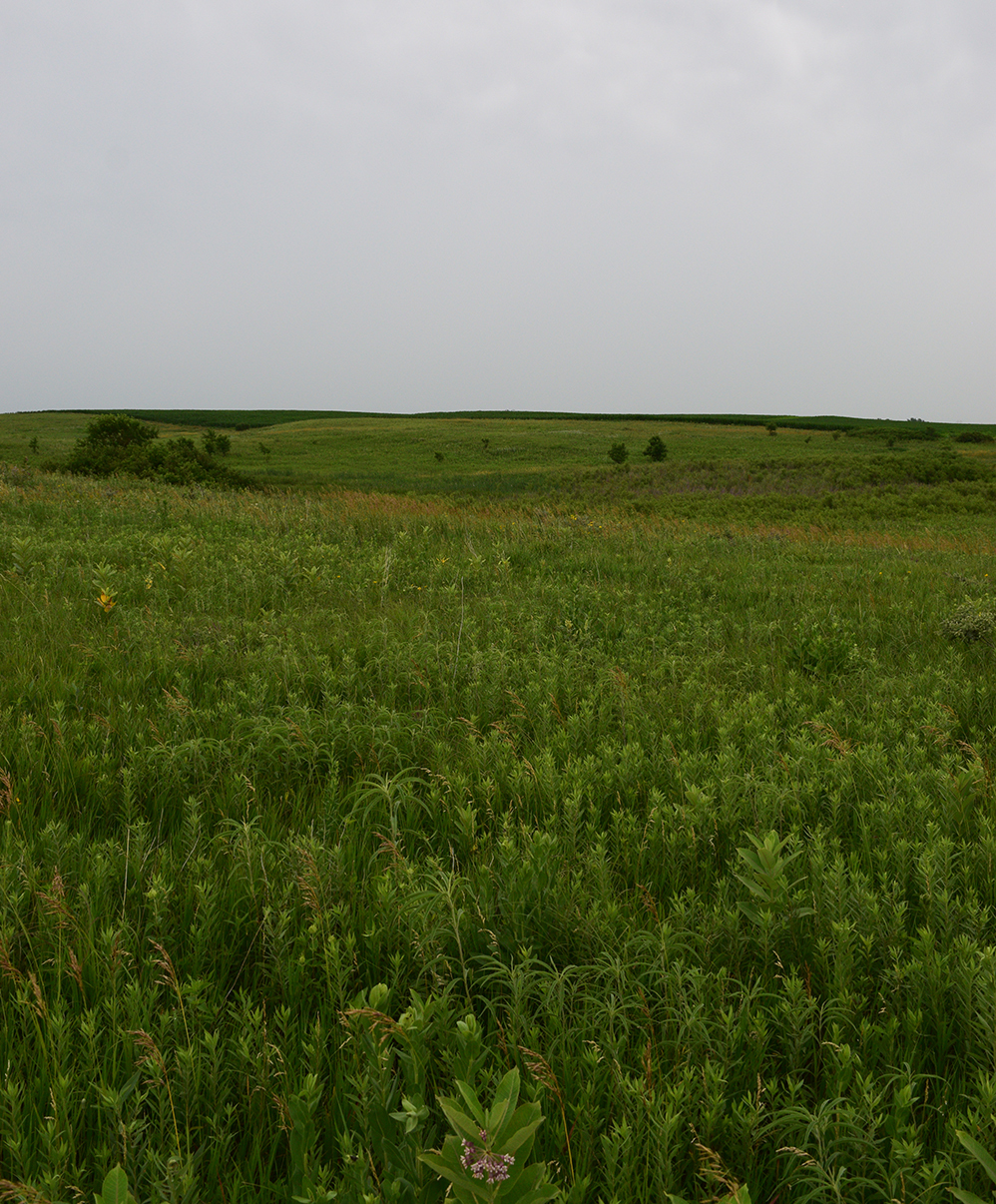 Cayler State Preserve