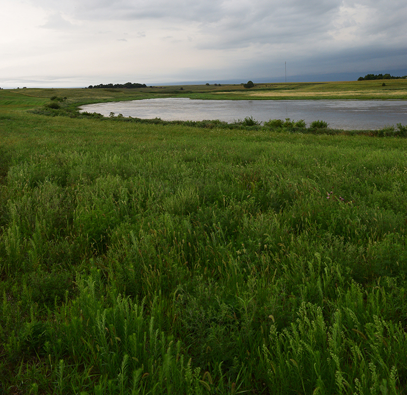 Kiowa marsh prairie and wetland