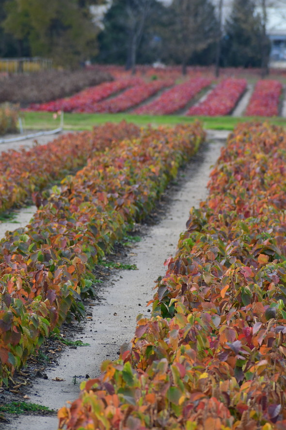 Sept. 1 Iowa Outdoors News