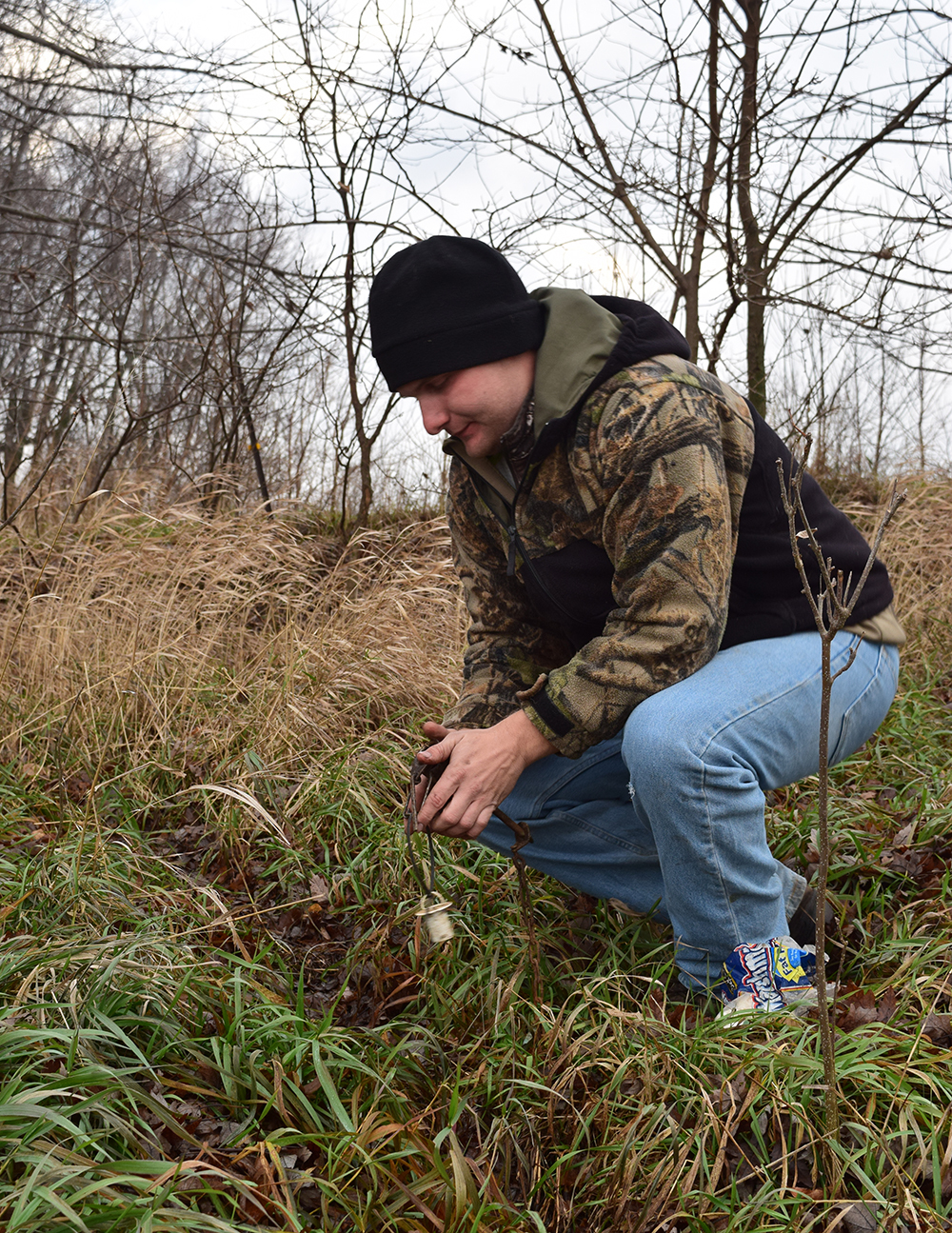 dog proof raccoon trap  set on a game trail