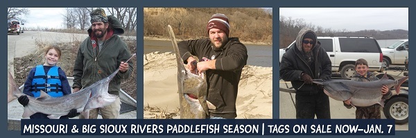 A collage of anglers catching paddlefish on the Missouri and Big Sioux Rivers.