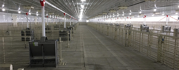 Newly constructed confinement building. 