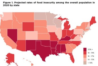 Food Insecurity Projections - 2020 by State