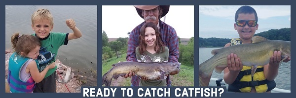 Ready to catch catfish?