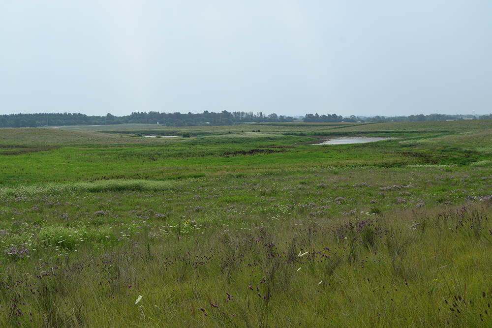 restored prairie and wetlands garlock slough