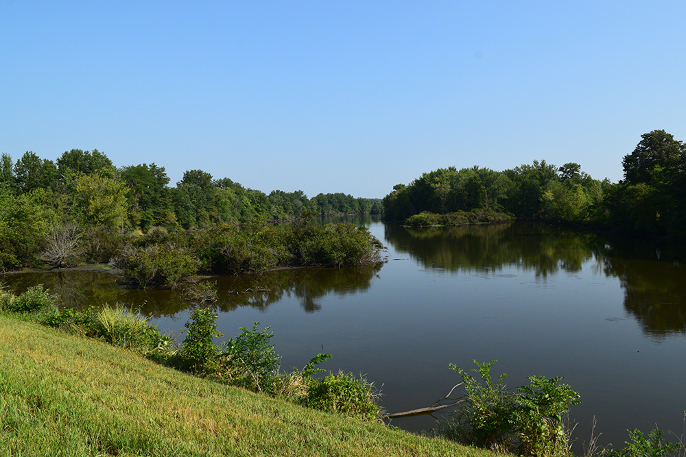 Wapello Bottoms slough