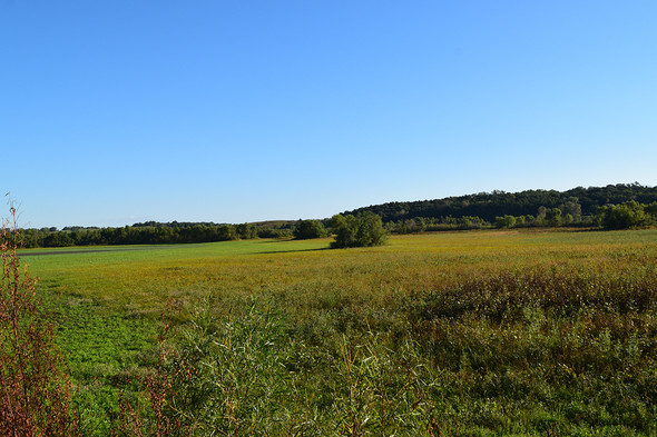 Hayesville Bend wetland