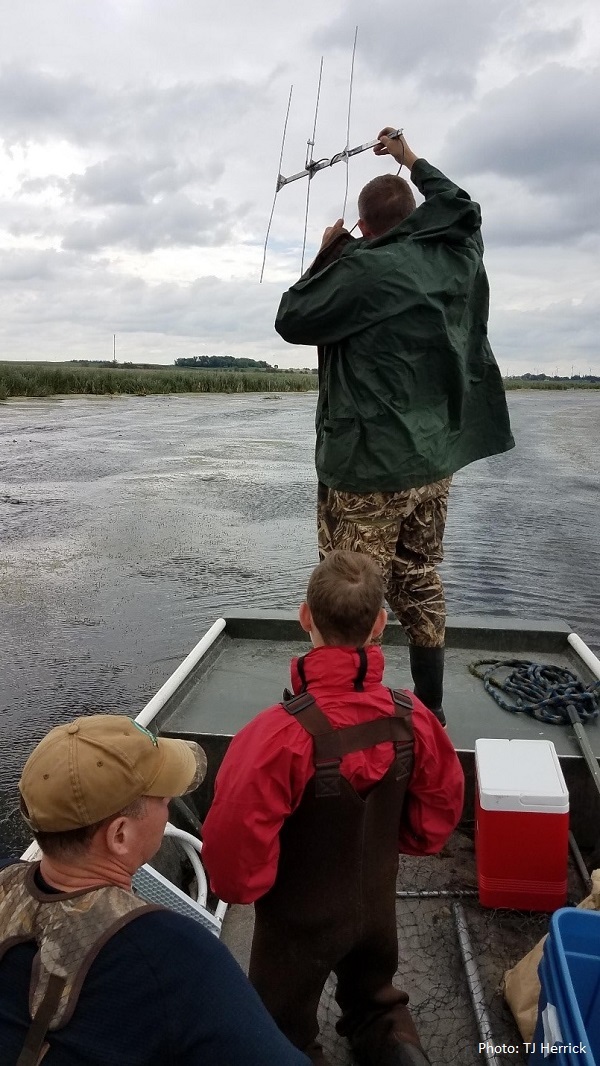 People in boat with Antenna looking for blandings turtles