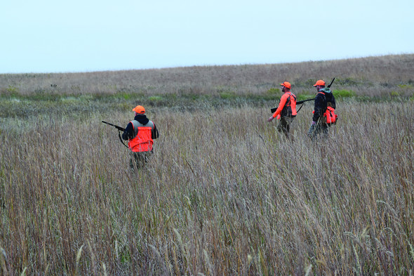 pheasant hunters in crp