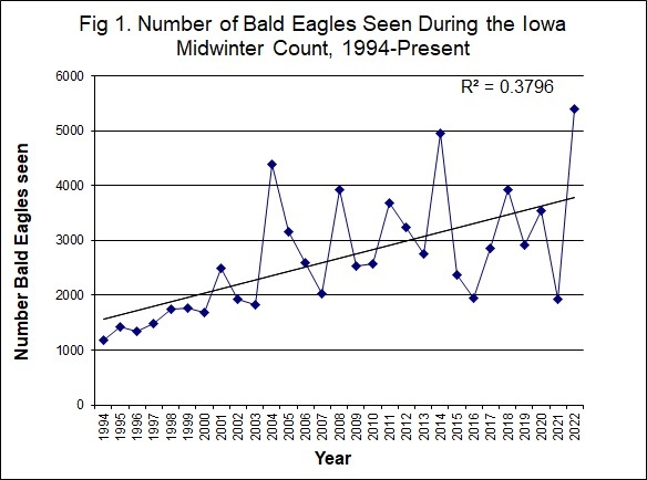 Chart showing total eagles counted since 1991