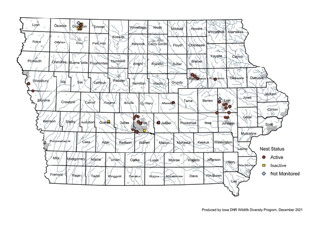 Status of Osprey in Iowa