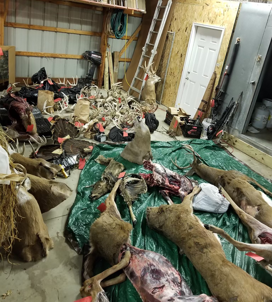ida county poaching case
