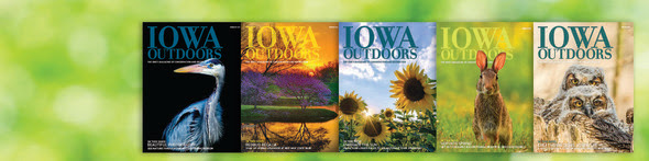 A collage of Iowa Outdoors Magazine covers