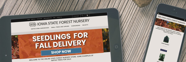 Iowa DNR State Forest Nursery Online Catalog