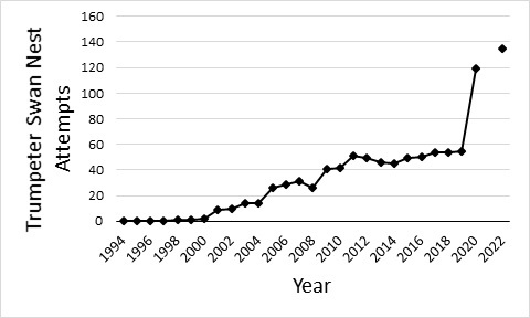 Figure 2: The number of reported Trumpeter Swan nest attempts in Iowa from 1994 to 2022. 