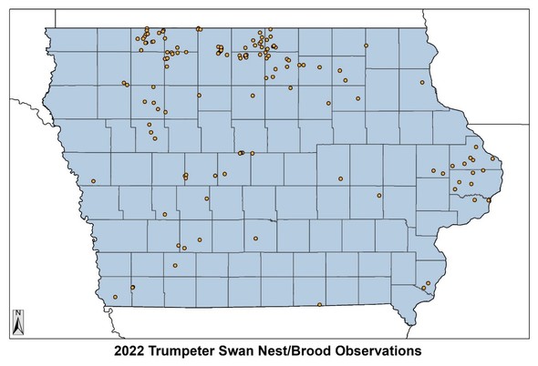 Figure 1: The distribution of reported Trumpeter Swan nest attempts in Iowa, 2022. 