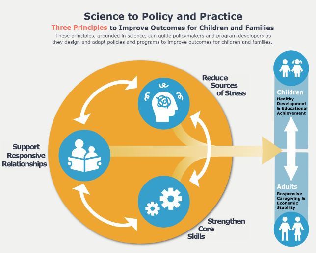 Science to Policy and Practice