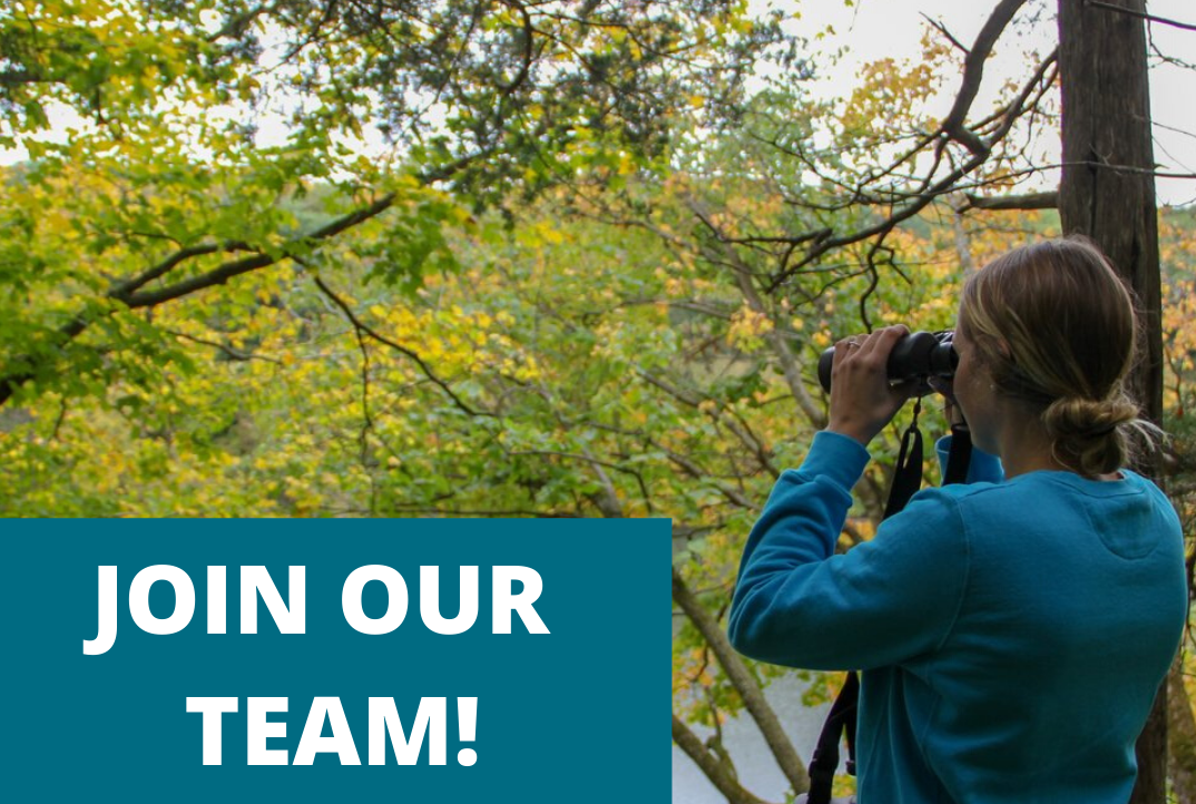 Woman looking with binoculars at landscape