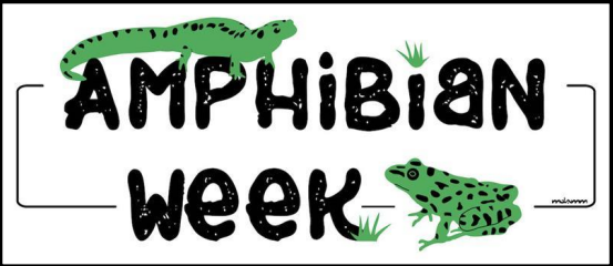 May 7-13 was Amphibian Week!