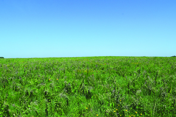 Dugout Creek Yager Slough