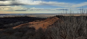 Picture of Hitchcock Nature area