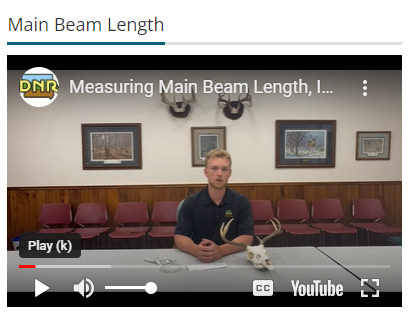 main beam length