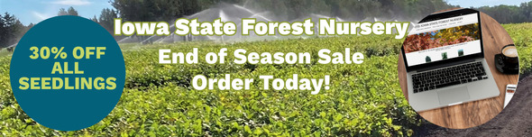 Iowa State Forest Nursery end of year sale