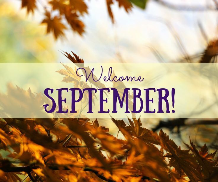 September