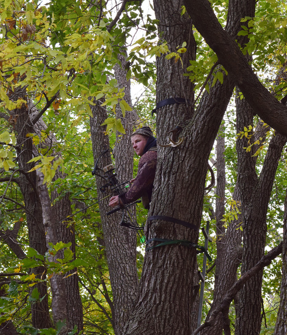 bowhunter in treestand
