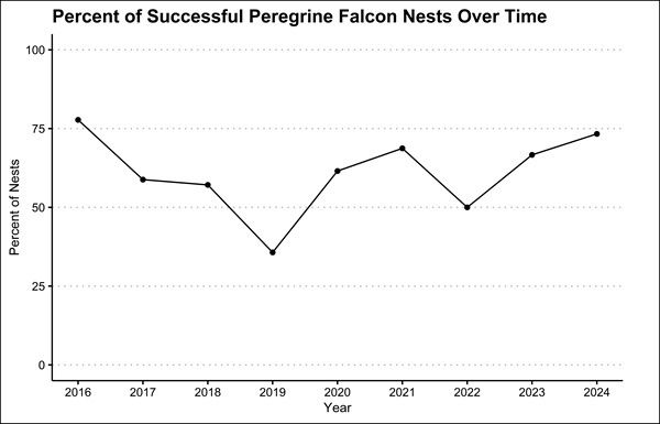 Plot showing the percentage of active and successful Peregrine Falcon nests (out of total active territories) from 2016-2024.